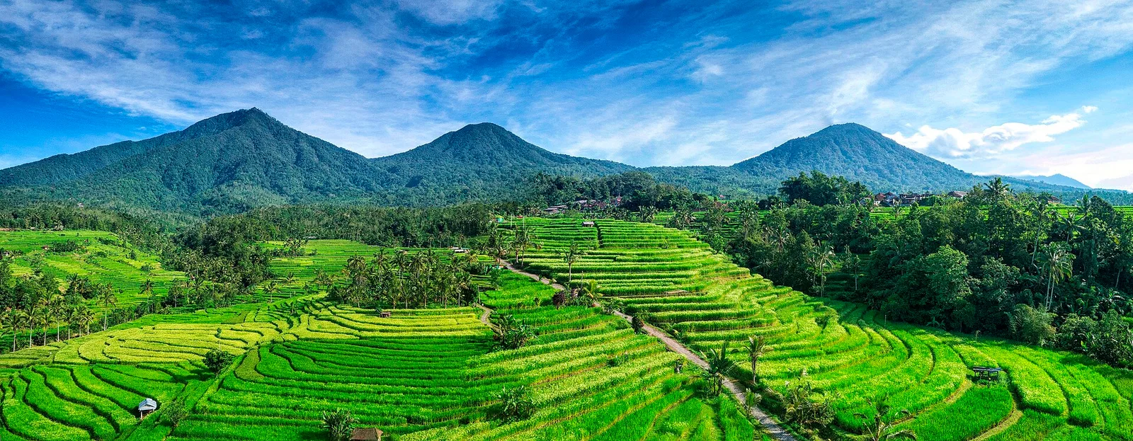 Terrazas de arroz de Jatiluwih en Bali